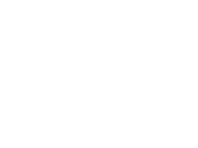 VIRTUAL FRENZY