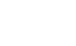 Sansvita